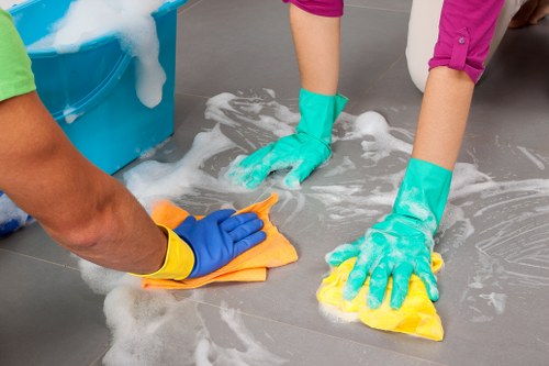 Professional cleaner in Kensington providing domestic cleaning services