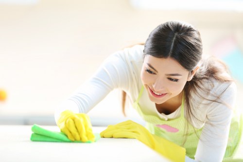 Leather sofa cleaning and conditioning service for a stylish interior