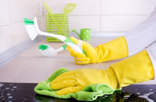 Transparent carpet cleaning estimate for a larger Kensington home