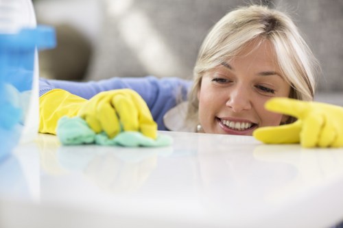 Cleaning team handling service liability and customer property care