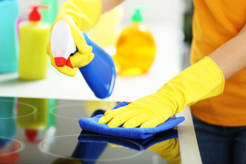 House cleaning service in Kensington for busy households