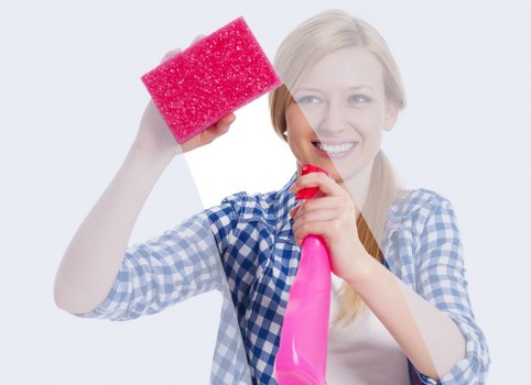 Pre-work risk assessment for carpet cleaning in a property