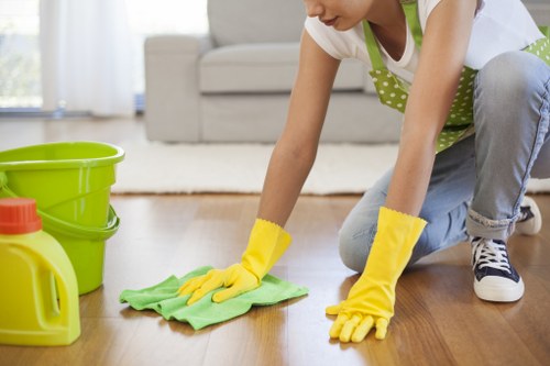 Stain removal and carpet maintenance in a Kensington property