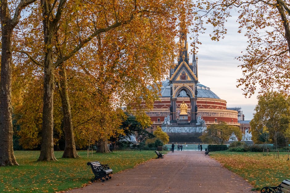 Emergency flood cleaning by Royal Albert Hall image